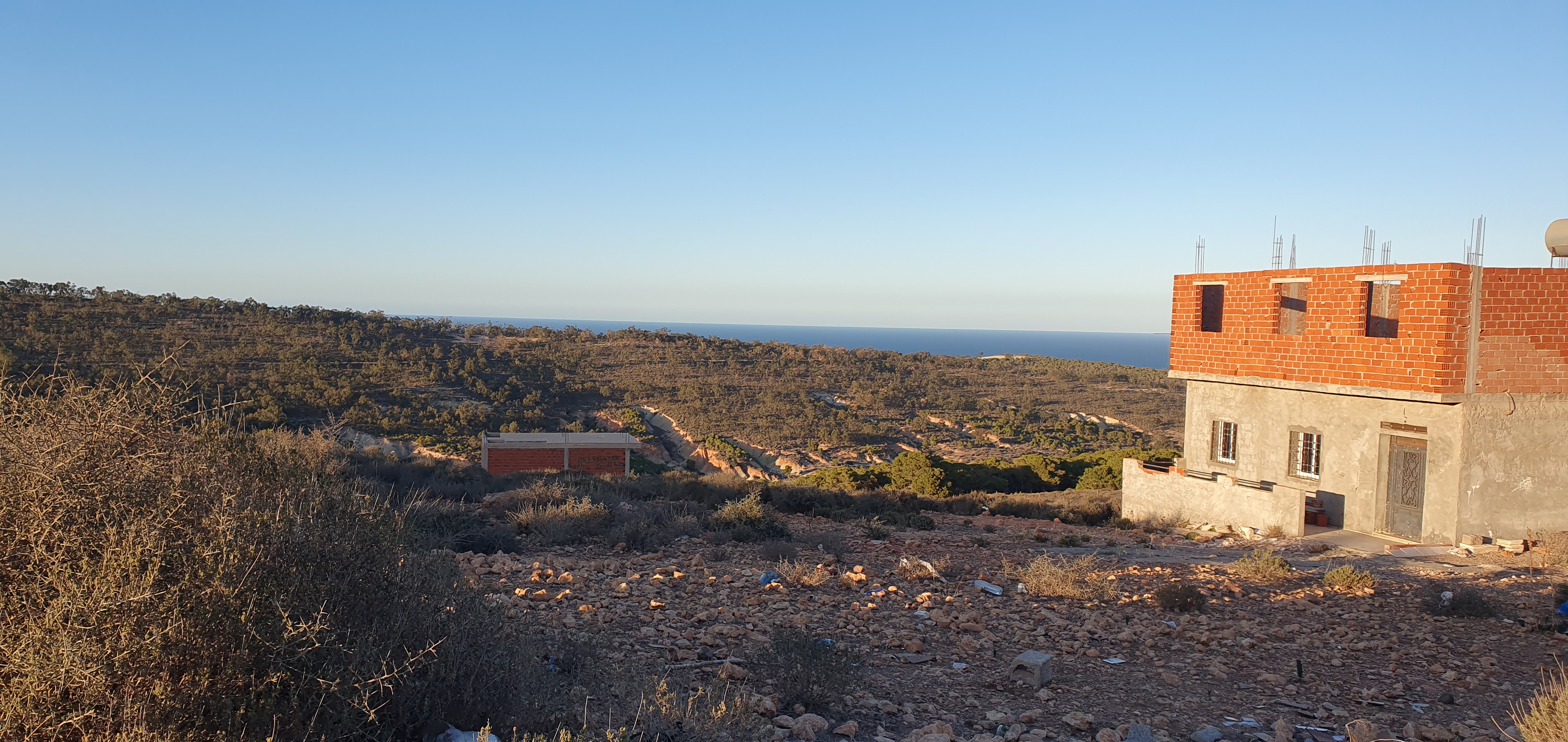 Vente Surfaces - Algerie